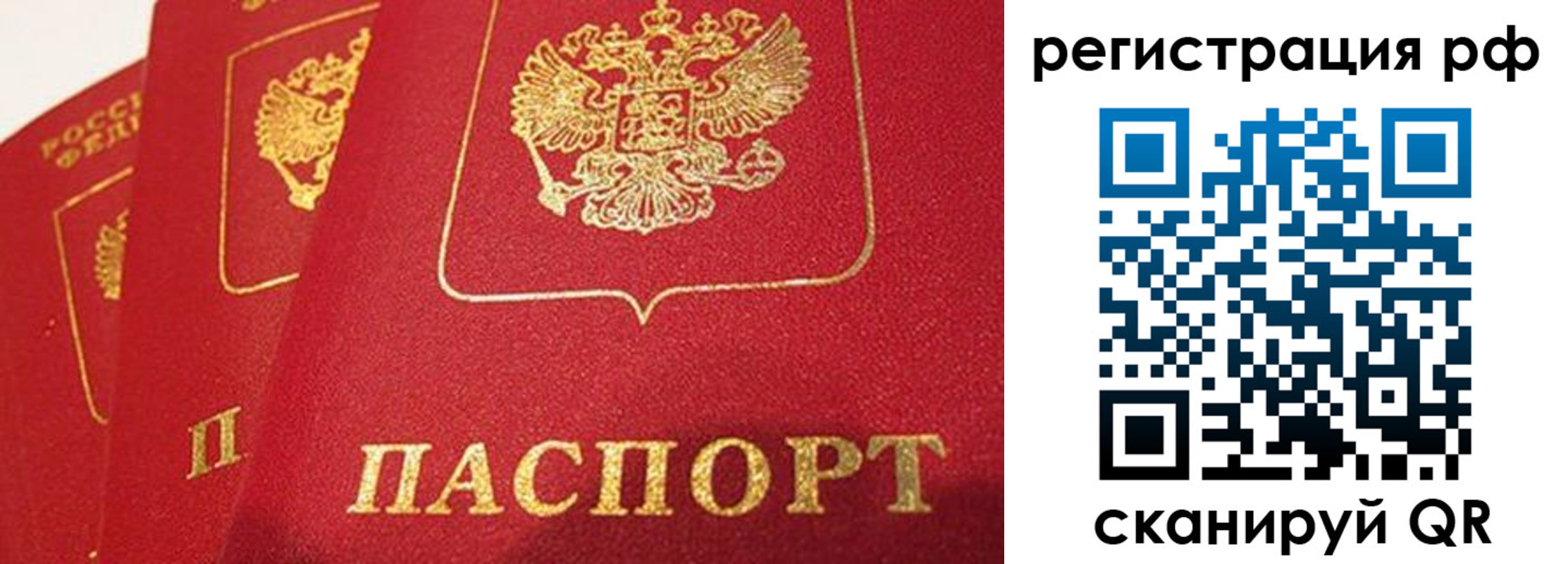 прописка поиск в Камызяке